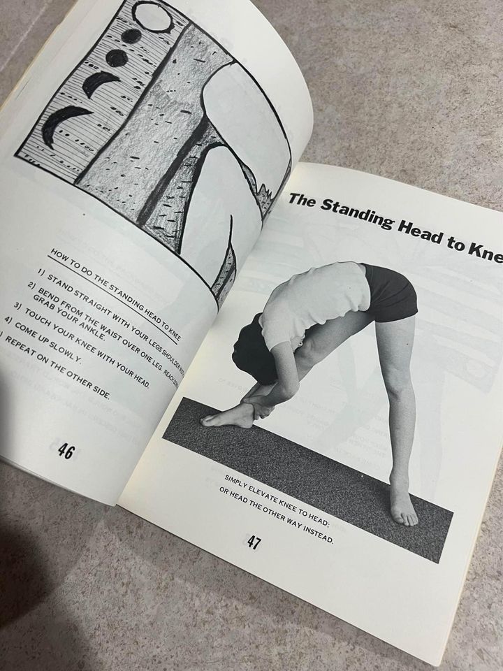 The Swami and Sam A Yoga Book by Brandt Dayton Paperback Book 1976