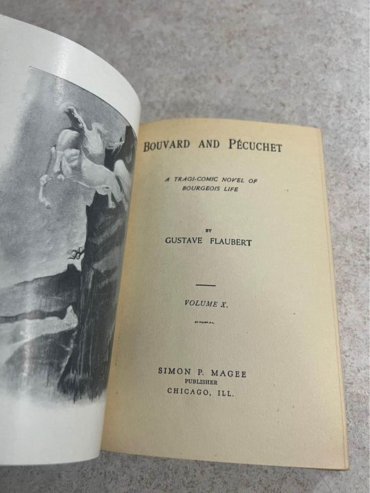 1904 Bouvard and Pecuchet by Gustave Flaubert Complete Works Vol X 10 Antique Vintage Hardcover Book