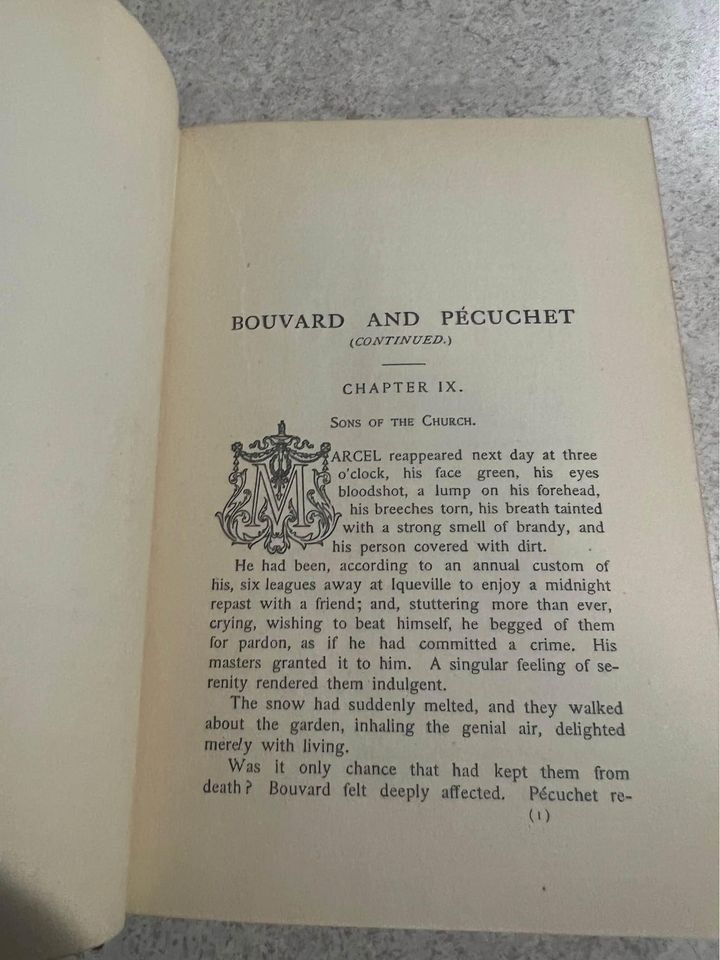 1904 Bouvard and Pecuchet by Gustave Flaubert Complete Works Vol X 10 Antique Vintage Hardcover Book