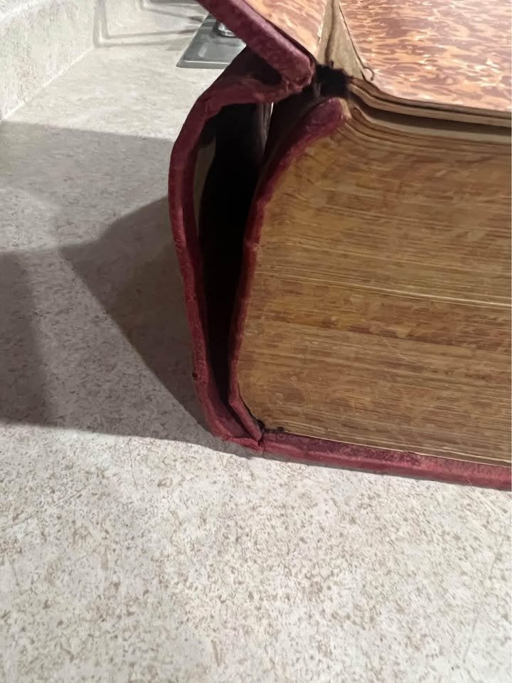 1906 Medicology Home Encyclopedia of Health by Joseph G Richardson Antique Vintage Hardcover Book