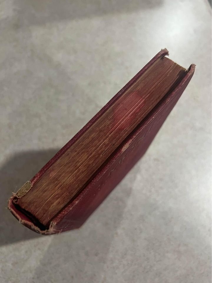 Moni, The Goat Boy by Johanna Spyri Antique Vintage Hardcover Book 1926