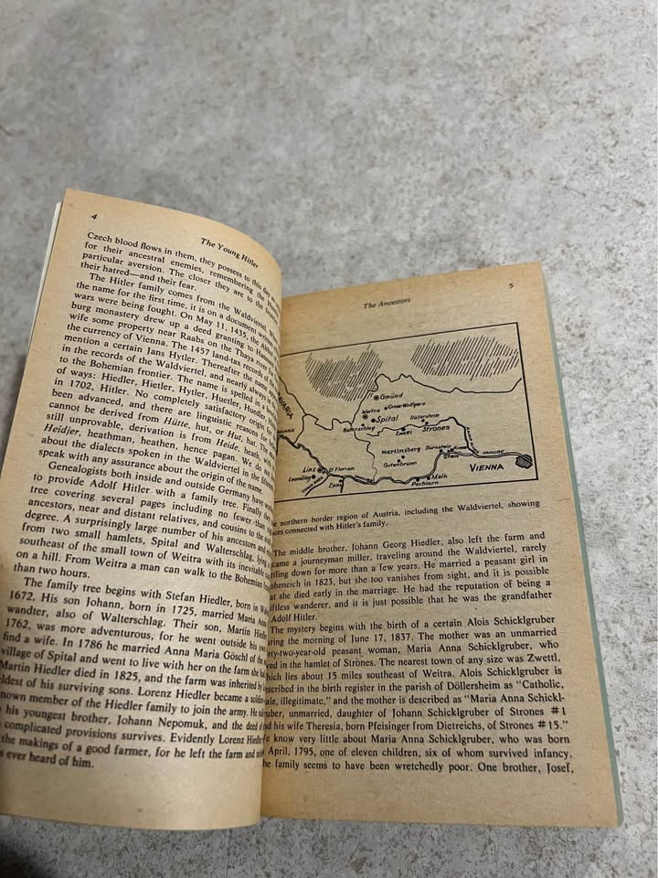 The Life and Death of Adolf Hitler by Robert Payne Paperback Book 1973