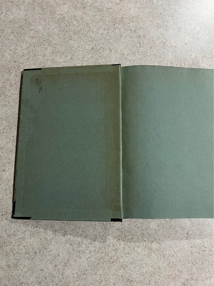 1937 Brand Plucked From the Fire by Jessie Sampter Antique Vintage Hardcover Book