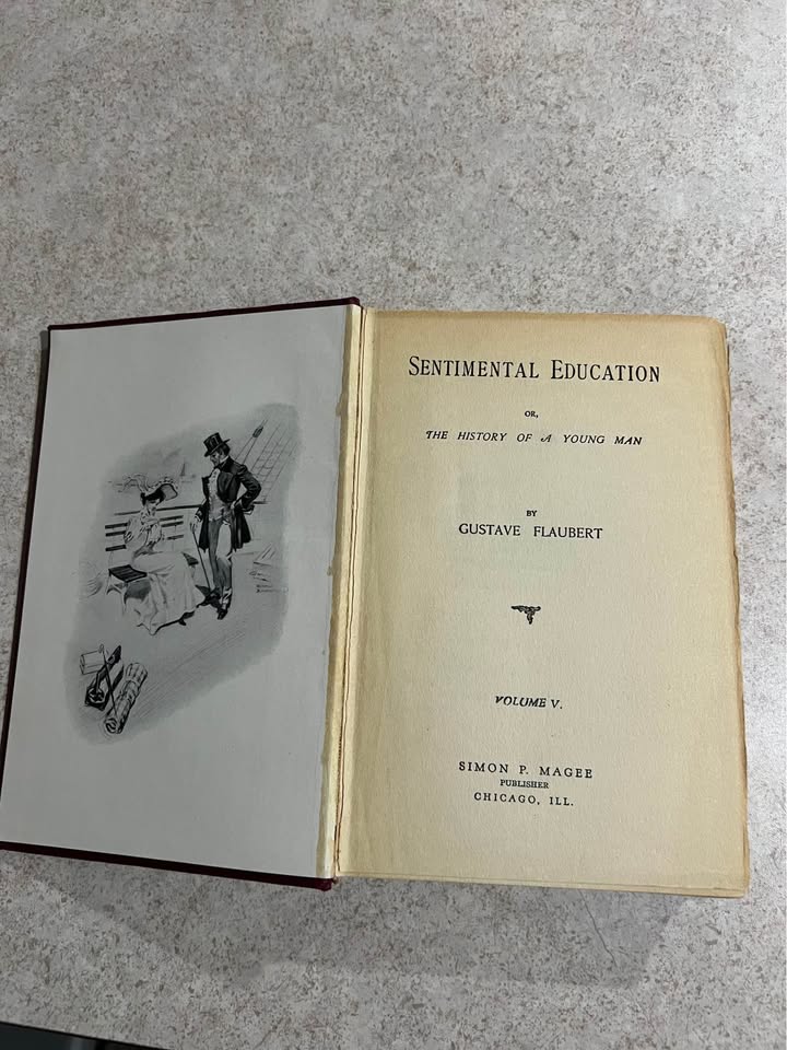 1904 Sentimental Education Volume V by Gustave Flaubert Antique Vintage Hardcover Book