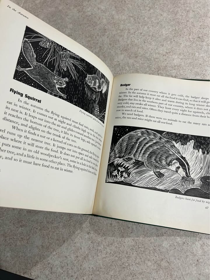 1941 Animals Through The Year by Margaret Waring Buck Antique Vintage Hardcover Book