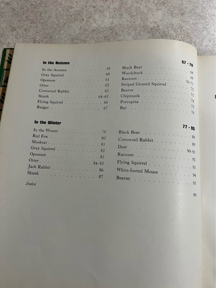 1941 Animals Through The Year by Margaret Waring Buck Antique Vintage Hardcover Book