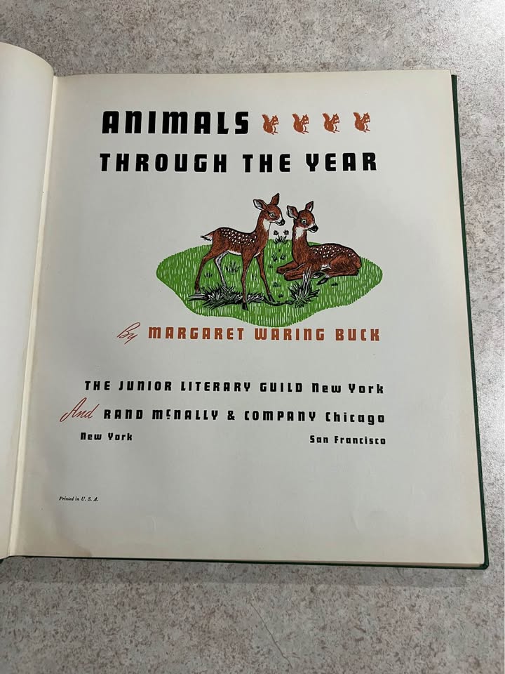 1941 Animals Through The Year by Margaret Waring Buck Antique Vintage Hardcover Book