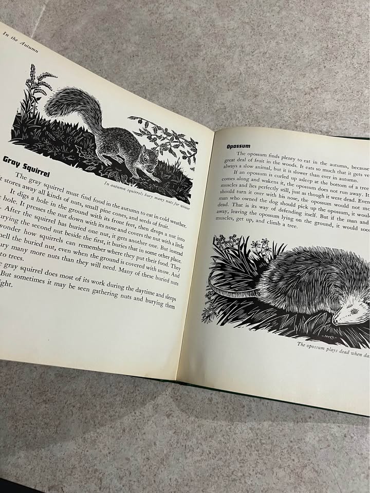 1941 Animals Through The Year by Margaret Waring Buck Antique Vintage Hardcover Book