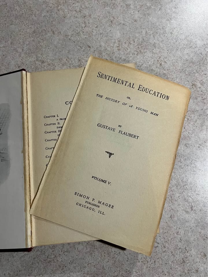 1904 Sentimental Education Volume V by Gustave Flaubert Antique Vintage Hardcover Book