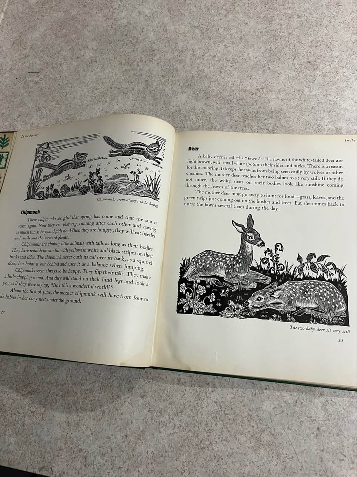1941 Animals Through The Year by Margaret Waring Buck Antique Vintage Hardcover Book