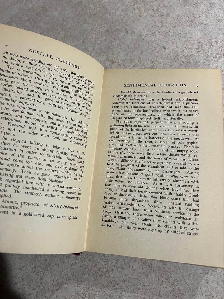 1904 Sentimental Education Volume V by Gustave Flaubert Antique Vintage Hardcover Book