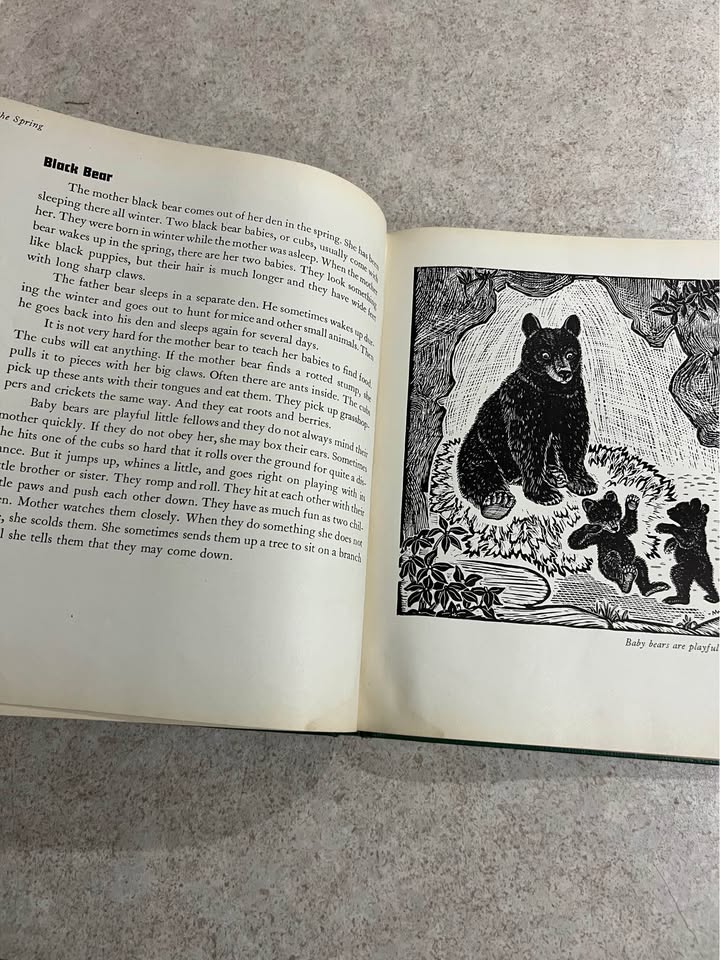 1941 Animals Through The Year by Margaret Waring Buck Antique Vintage Hardcover Book