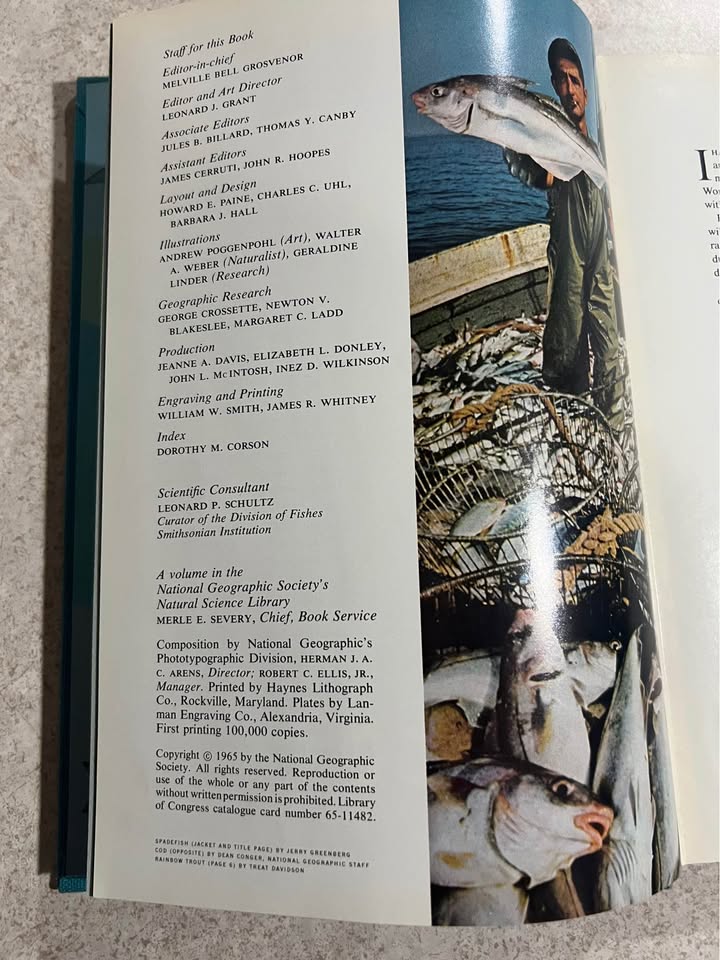 1965 Wondrous World of Fishes by National Geographic Society Vintage Hardcover Book