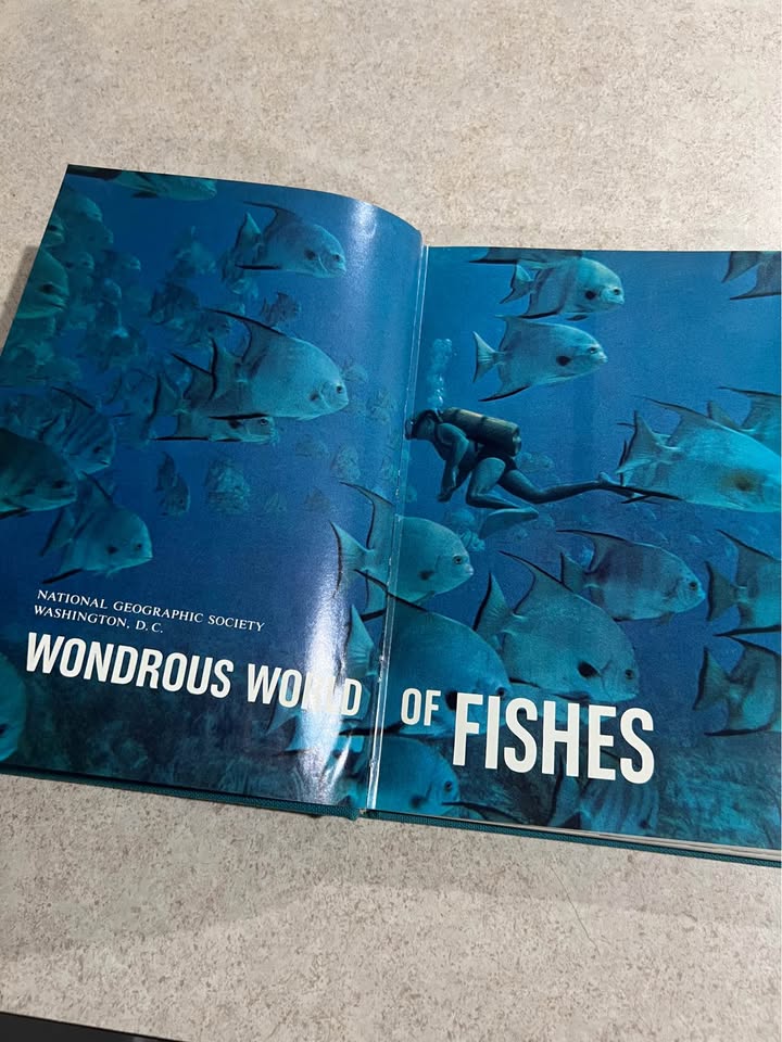 1965 Wondrous World of Fishes by National Geographic Society Vintage Hardcover Book