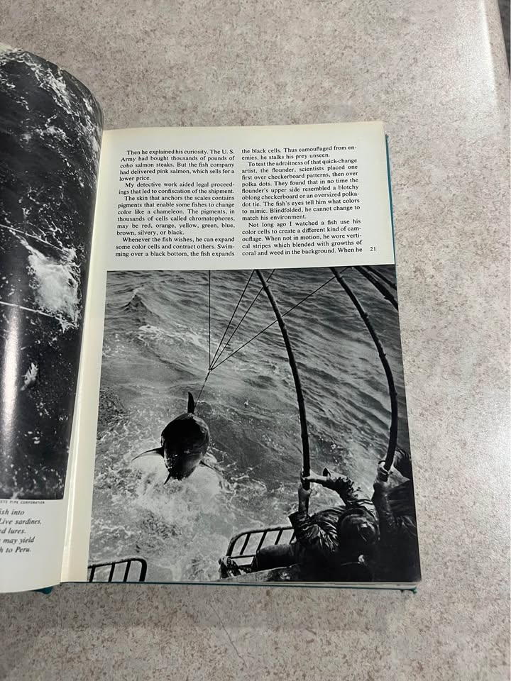 1965 Wondrous World of Fishes by National Geographic Society Vintage Hardcover Book