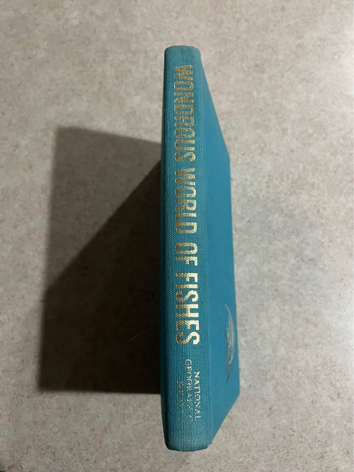 1965 Wondrous World of Fishes by National Geographic Society Vintage Hardcover Book