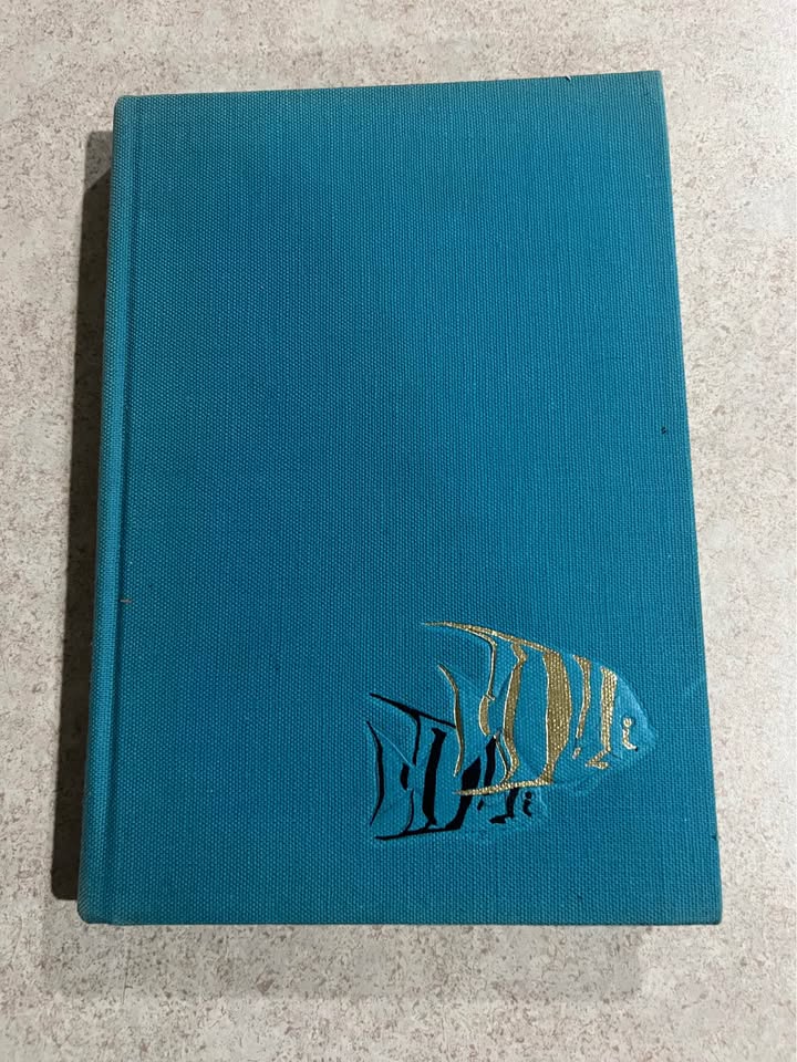 1965 Wondrous World of Fishes by National Geographic Society Vintage Hardcover Book