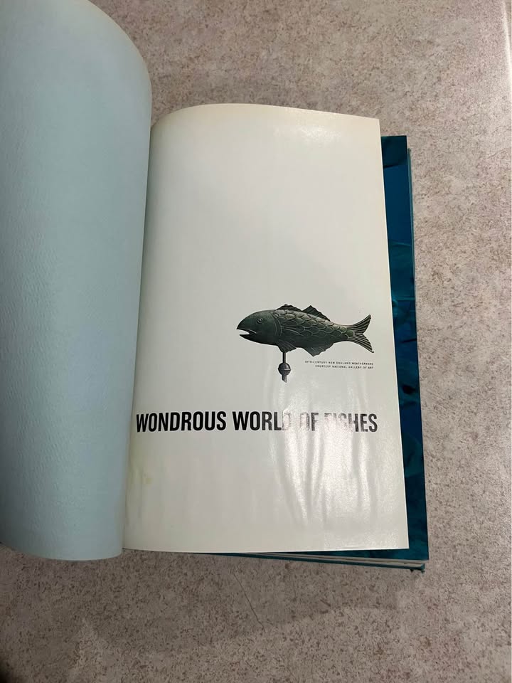1965 Wondrous World of Fishes by National Geographic Society Vintage Hardcover Book